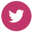 Twitter Twitter
